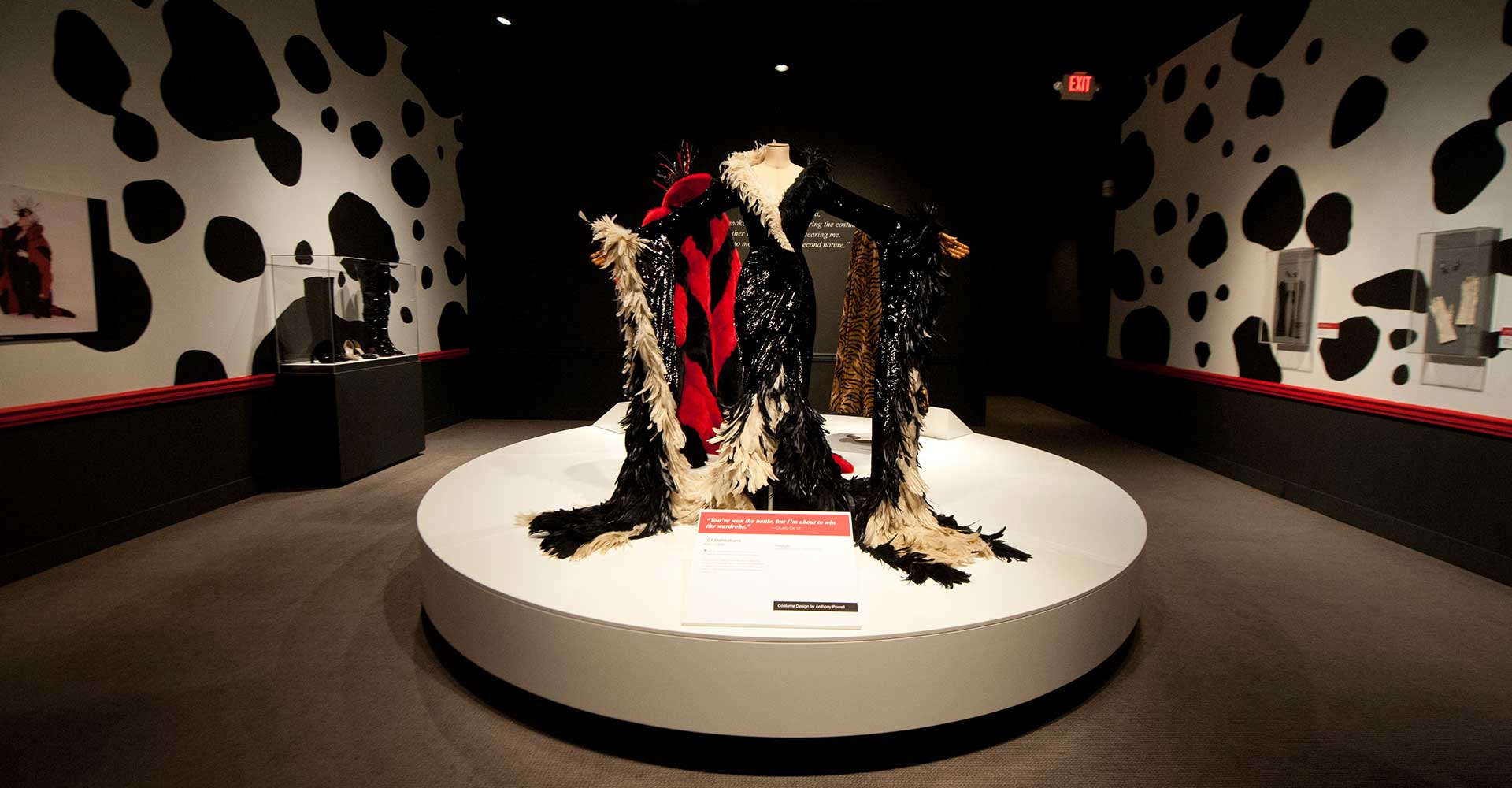 Cruella De Vil Costumes