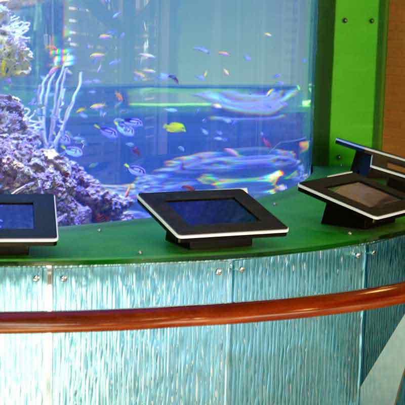 Aquarium Display